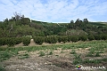 VBS_5447 - C'è un mare di velluto verde! E tu che sognavi di andare lontano... Quanta meraviglia, quì!